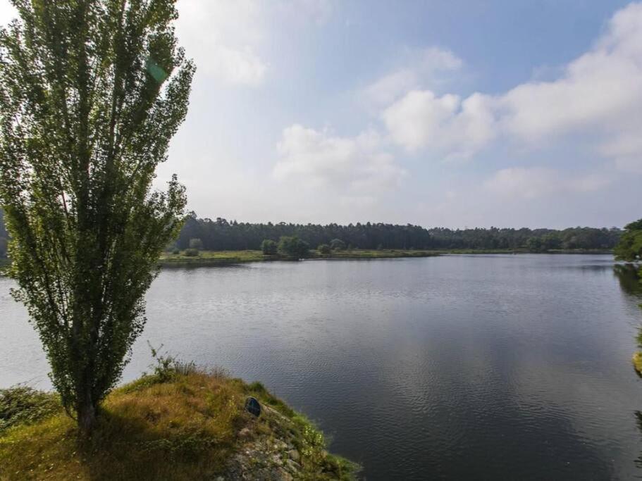 Quinta Da Barca House - Nada Melhor Que Juntar Luxo A Lazer Com Mar E Rio! Esposende Luaran gambar